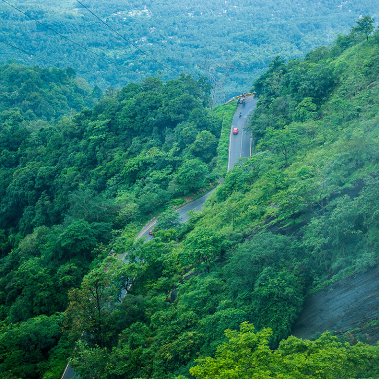 VIEW POINT