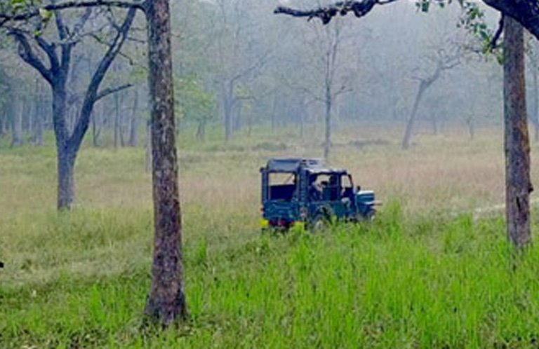 JEEP SAFARI